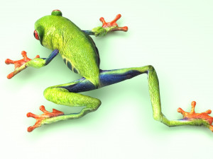 Green Tree Red Eyed Frog Modelo 3D
