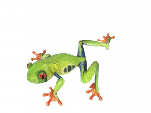 Green Tree Red Eyed Frog Modelo 3D