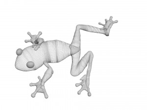 Green Tree Red Eyed Frog Modelo 3D