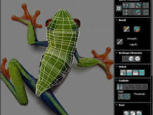 Green Tree Red Eyed Frog Modelo 3D