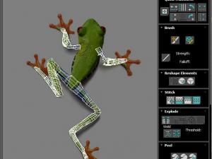 Green Tree Red Eyed Frog Modelo 3D