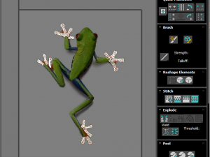 Green Tree Red Eyed Frog Modelo 3D