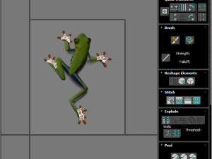 Green Tree Red Eyed Frog Modelo 3D