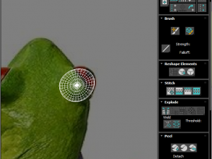 Green Tree Red Eyed Frog Modelo 3D