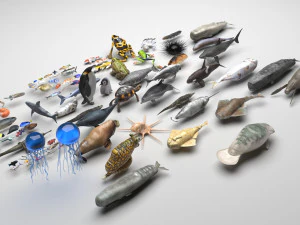 Conjunto de criaturas marinhas Modelo 3D