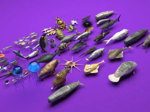 Sea Creatures Set 3D Model