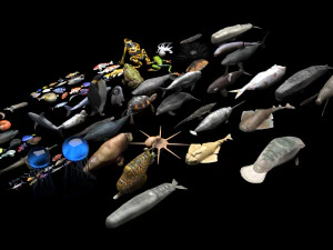 Sea Creatures Set 3D Model