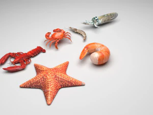 Sea Creatures Set 3D Model