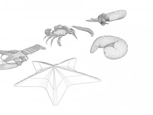 Sea Creatures Set 3D Model
