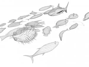 Sea Creatures Set 3D Model