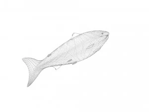 Sea Creatures Set 3D Model