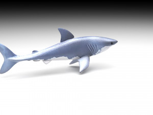 Sea Creatures Set Modelo 3D