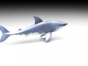 Sea Creatures Set 3D Model