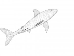 Sea Creatures Set Modelo 3D