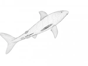 Sea Creatures Set 3D Model