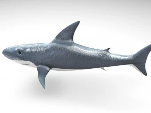 Sea Creatures Set 3D Model