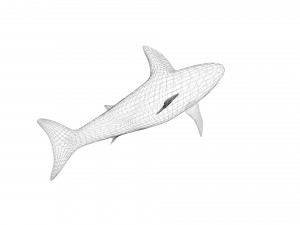 Sea Creatures Set Modelo 3D