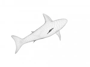 Sea Creatures Set 3D Model