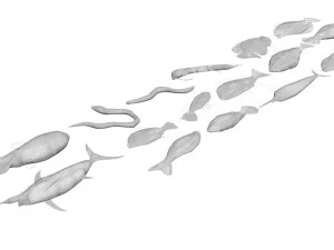 Sea Creatures Set 3D Model