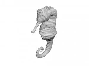 Sea Creatures Set 3D Model