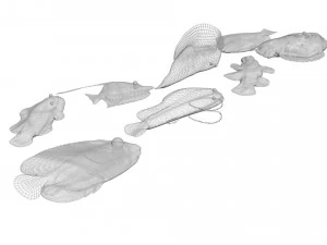 Sea Creatures Set 3D Model