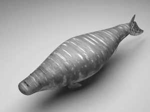 Sea Creatures Set 3D Model