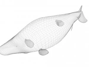 Sea Creatures Set 3D Model