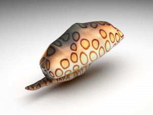 Sea Creatures Set Modelo 3D