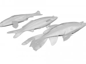 Sea Creatures Set 3D Model