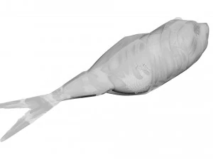 Sea Creatures Set 3D Model