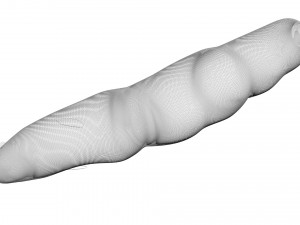 Sea Creatures Set Modelo 3D