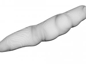 Sea Creatures Set 3D Model