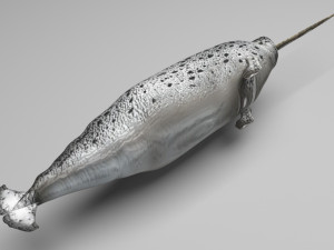 Sea Creatures Set Modelo 3D