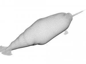 Sea Creatures Set 3D Model