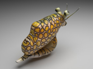 Sea Creatures Set Modelo 3D