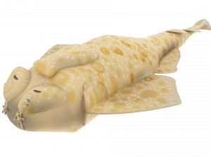 Sea Creatures Set Modelo 3D