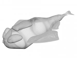 Sea Creatures Set 3D Model