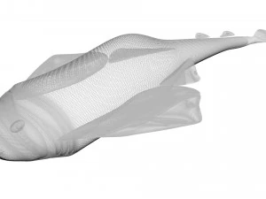 Sea Creatures Set 3D Model