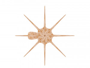 Octopus Modelo 3D