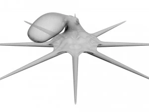 Octopus 3D Model