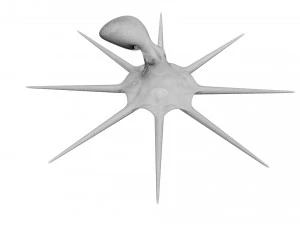 Octopus 3D Model