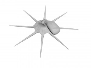Octopus Modelo 3D