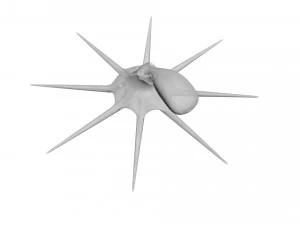 Octopus 3D Model