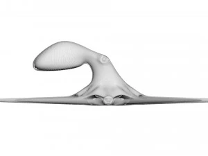 Octopus 3D Model