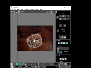 Octopus Modelo 3D