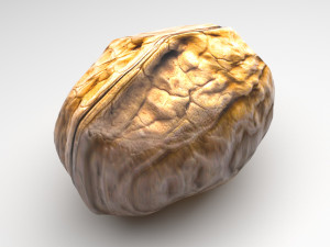 Walnut Shell 3Dモデル