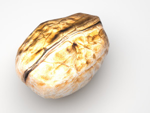 Walnut Shell 3D Model