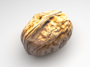 Walnut Shell 3D Model