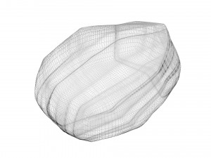 Walnut Shell 3D Model