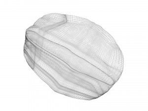 Walnut Shell 3D Model